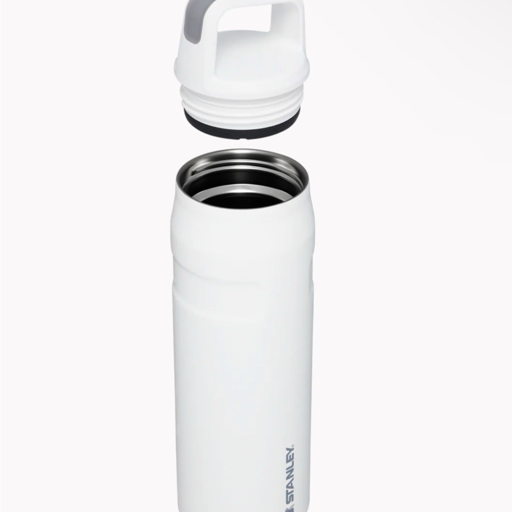 Stanley BOTTLE WITH CAP AND CARRY Polar